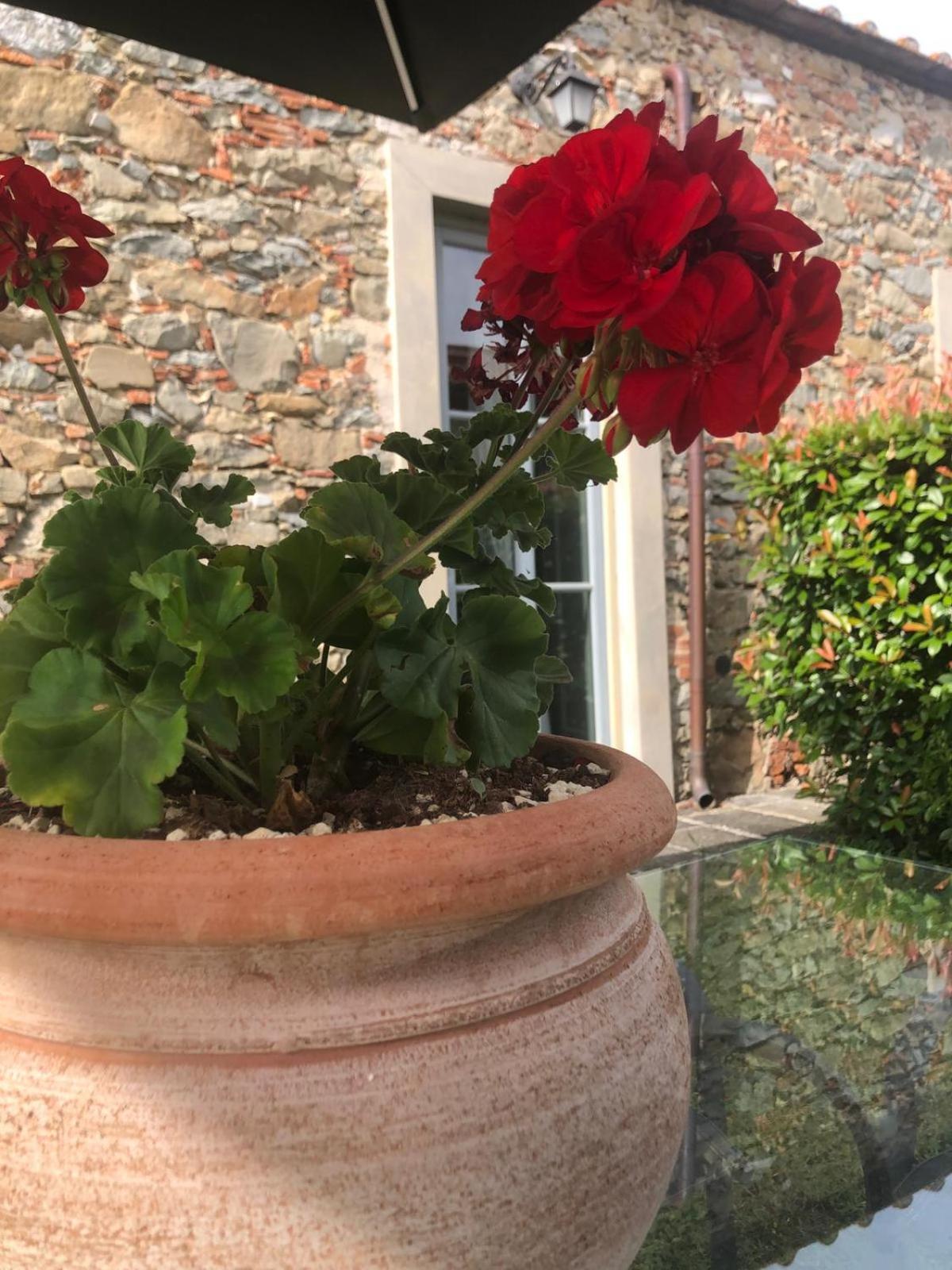 Aparthotel Tenuta Guinigi Antico Borgo Di Matraia - Exclusive Holidays & Pool